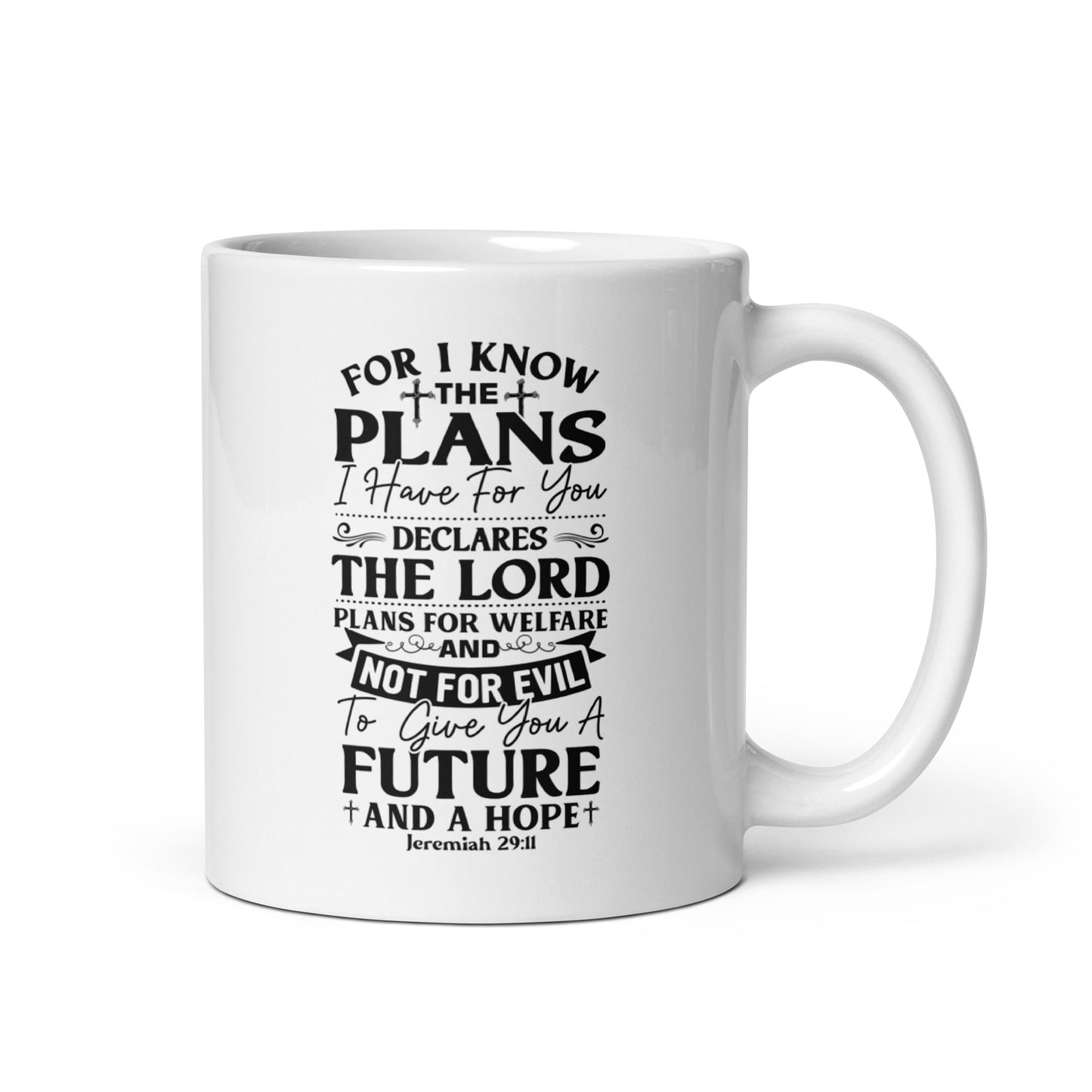 Jeremiah 29:11 Mug